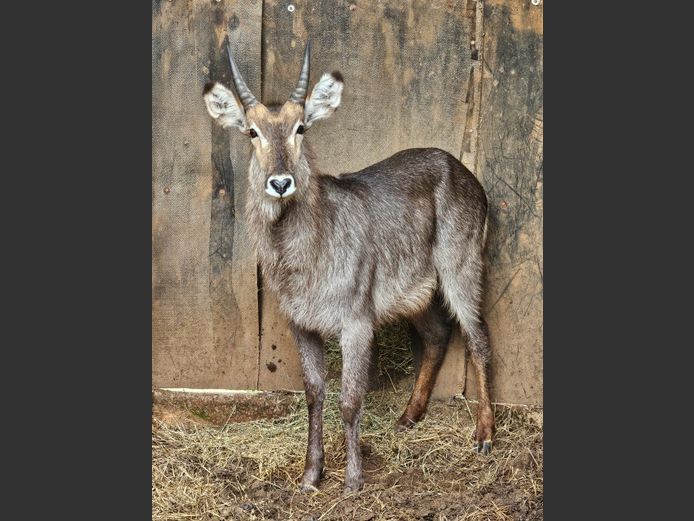 WATERBOK | WATERBERG AVIATION