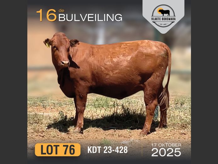KDT 230428 | J.P.F. DU TOIT