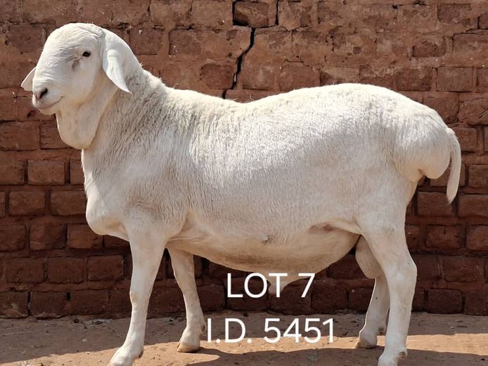 5451 | FRANCOIS VAN RENSBURG