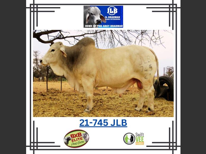 21-0745JLB | JLB BRAHMAN