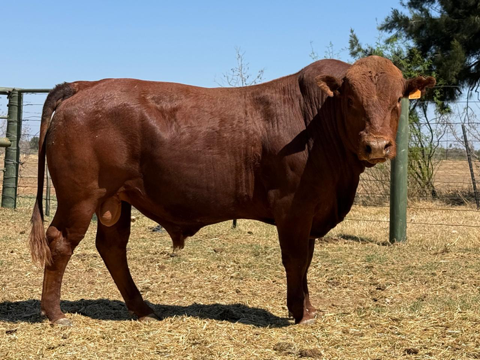 GA  230204 | GANNA AAR BOERDERY (EDMS) BPK