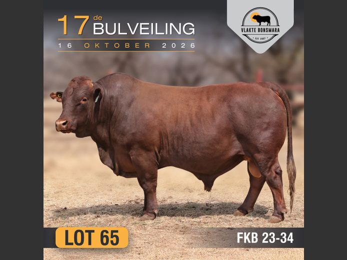 FKB230034 | FRITS KROON BOERDERY