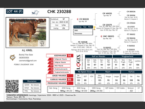 genetic_data