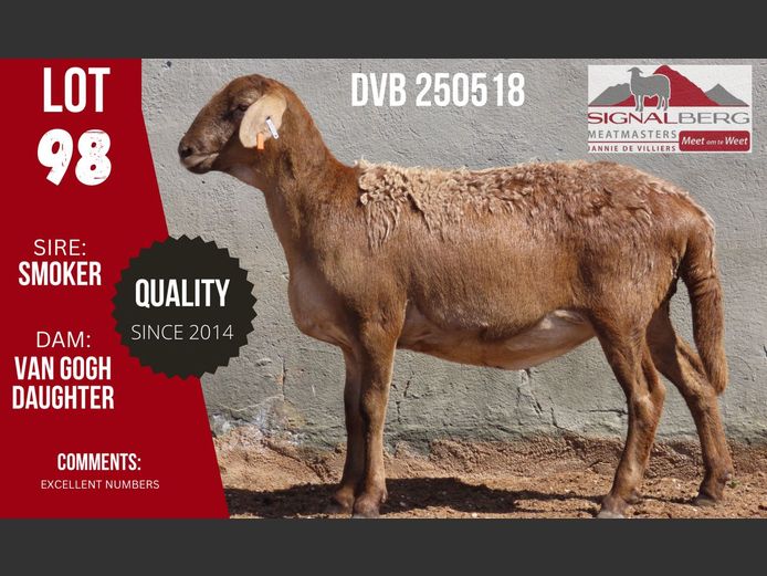 DVB 250518 | SIGNALBERG MEATMASTERS