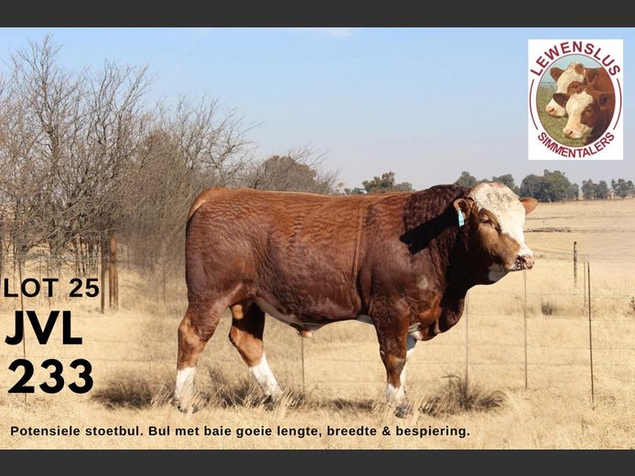 JVL233 | JSH VAN DER LINGEN