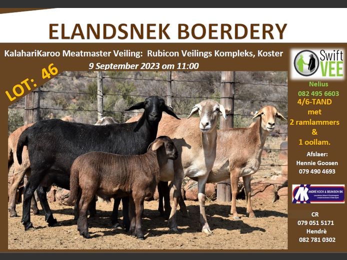 RSL 46C | ELANDSNEK BOERDERY