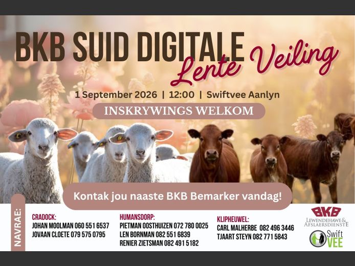 BKB SUID DIGITALE LENTEVEILING