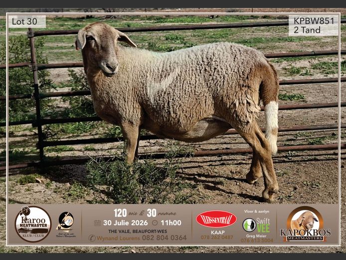 KPBW 25-851 | Wynand Lourens - Kapokbos Meatmasters