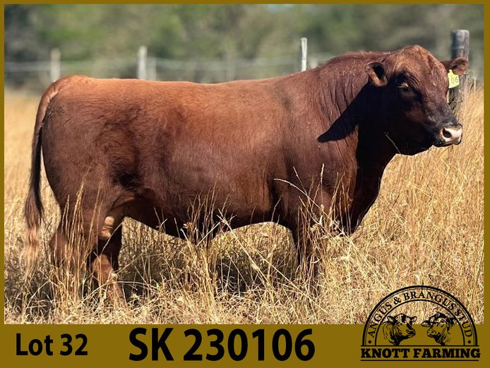 SK 230106 | KNOTT FARMING (PTY) LTD