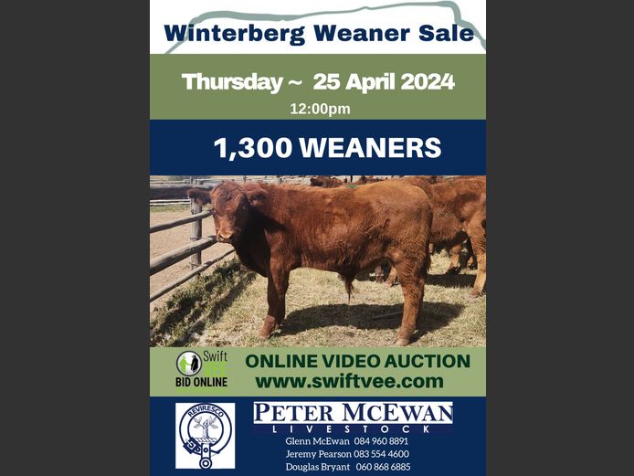 WINTERBERG WEANER SALE 2