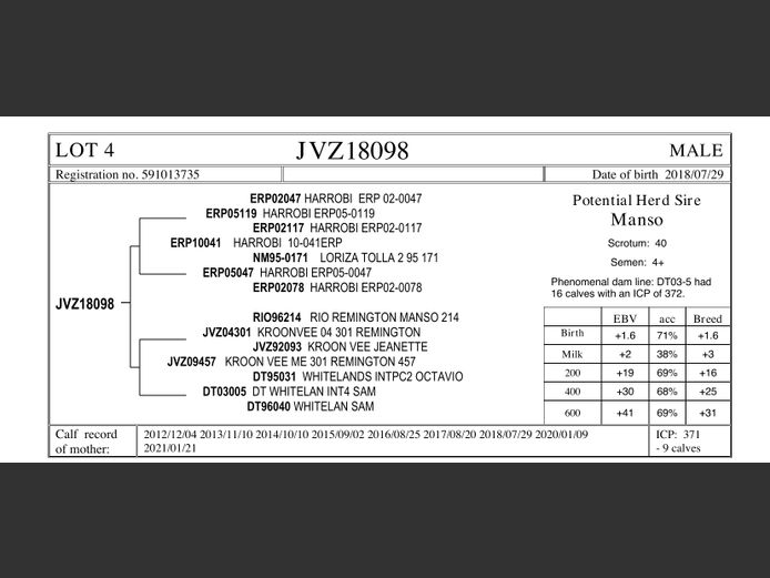 JVZ18-98