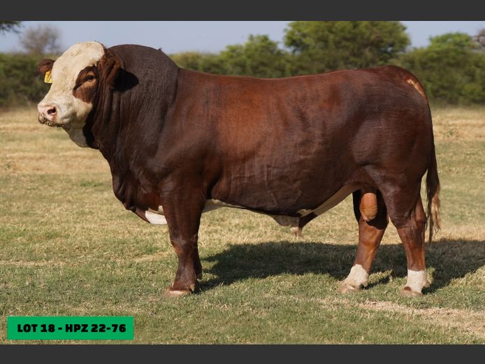 HPZ2276 | JP DU PREEZ BK