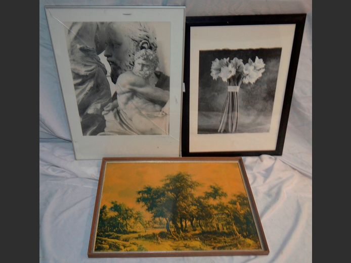 FRAMED PHOTOGRAPHIC PRINT "DAVID", FRAMED PRINT ON BOARD, etc