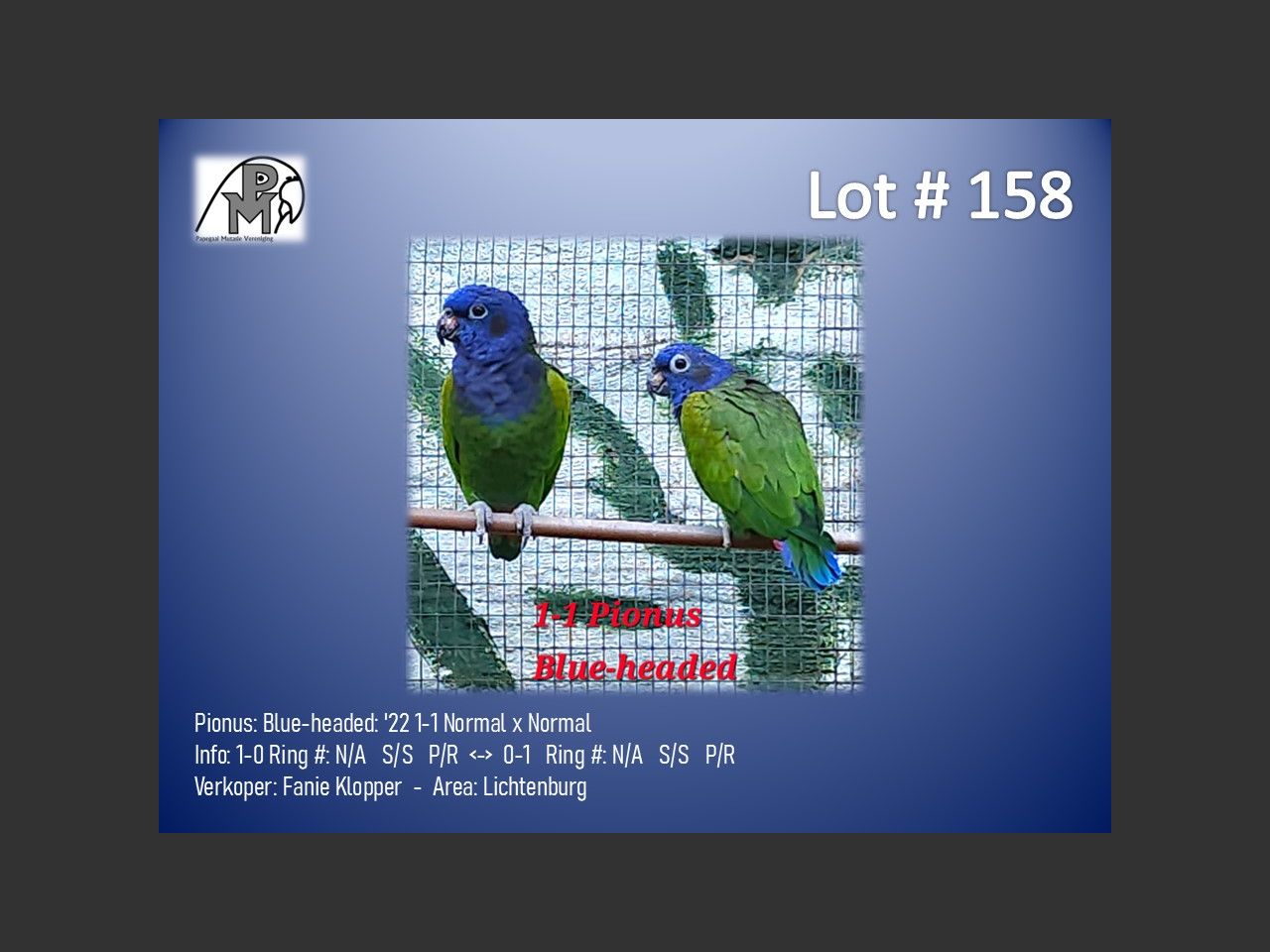 images