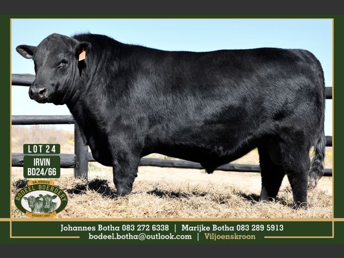 BD240066 | BODEEL BOERDERY