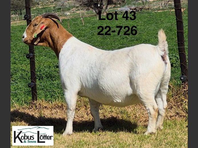 1384220726 | DIRK LOTTER