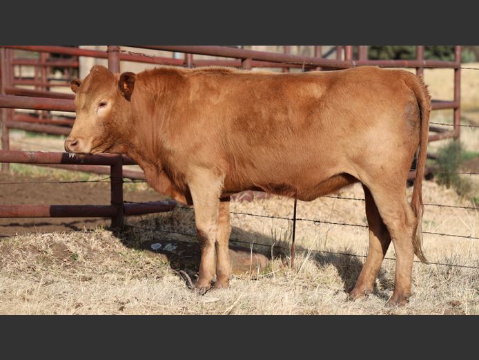 HBH 230046 | CLARK CATTLE COMPANY PTY LTD