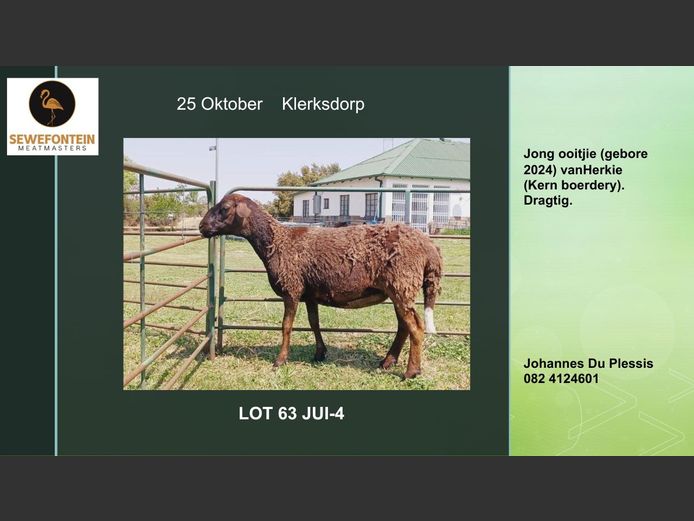 JUI-5 | Zevenfontein Meatmasters