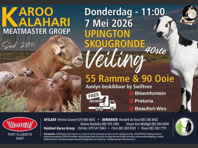 KALAHARI KAROO MEATMASTER GROEP 40STE VEILING