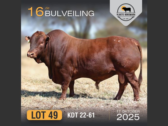 KDT 220061 | J.P.F. DU TOIT