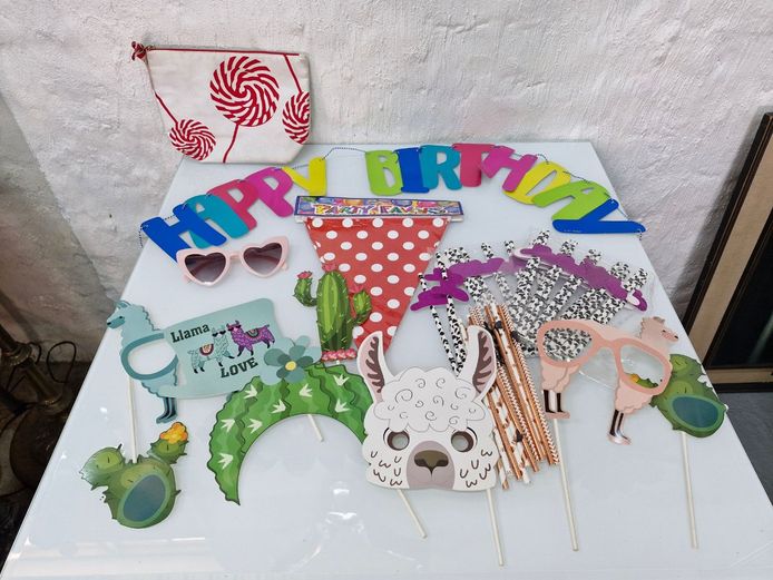 Llama and Cactus Themed Birthday Party Supply Selection, Including Banners, Photo Props, and Straws