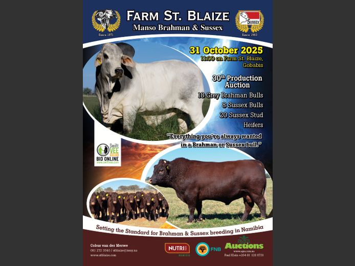 ST. BLAIZE BRAHMAN & SUSSEX 30TH PRODUCTION AUCTION