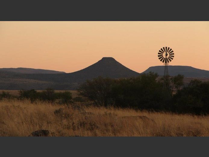 Walk and Stalk hunt for 1 black wildebeest cow, 1 blesbuck and 4 springbuck. 2026 Hunting season | Bleomhof Farm