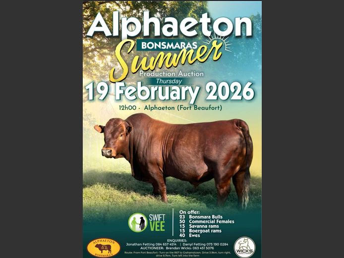 ALPHAETON BONSMARAS SUMMER PRODUCTION AUCTION