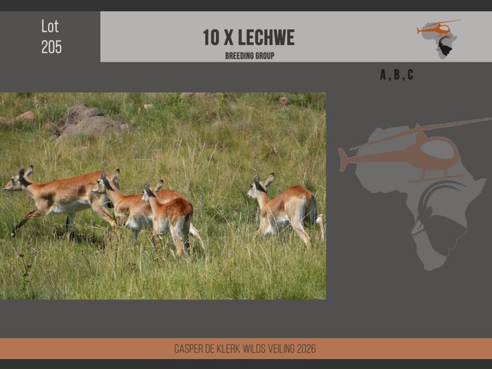Lechwe