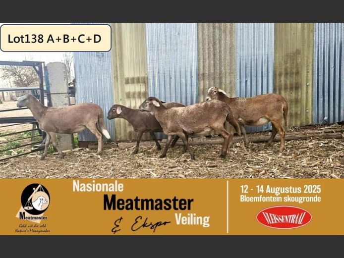 KIM 24 0069 | P.J. Cronje - Kimonate Meatmasters