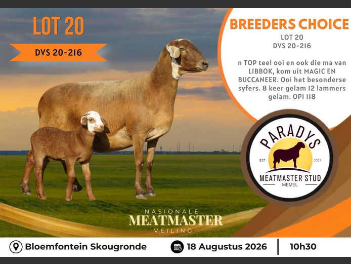 DVS 20 0216 | PARADYS MEATMASTER STOET