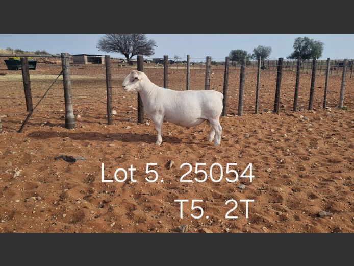 916250054W | R.J. CAHI & SON CC