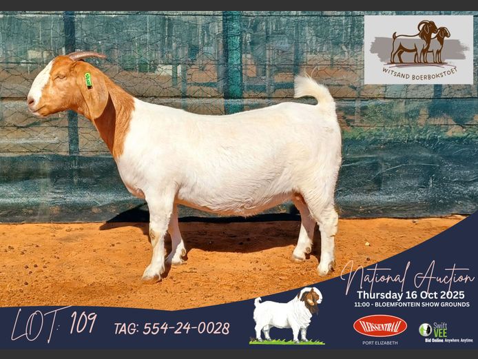 554-24-0028 | Hennie Le Roux (Witsand Boerbokstoet)