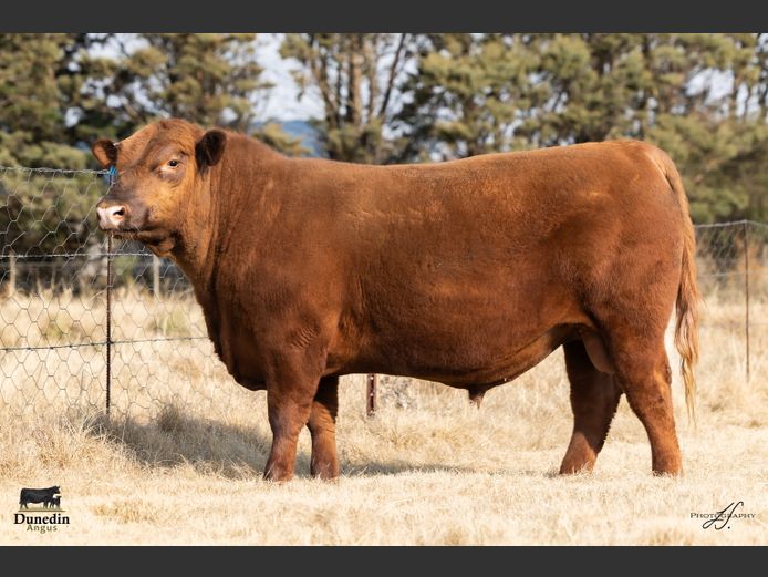 KCM 230108  | TABLE HILL FARMING PTY LTD