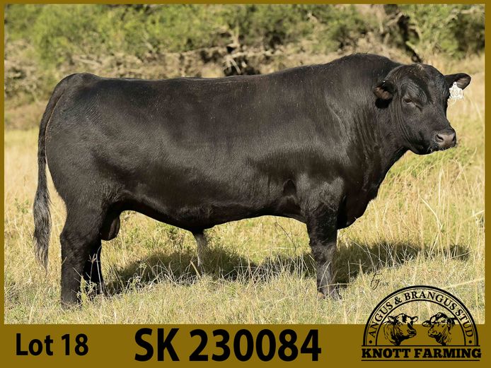 SK 230084 | KNOTT FARMING (PTY) LTD