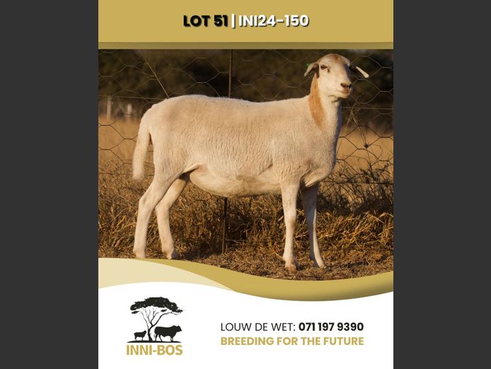 INI 24-150 | INI-BOS BOSVELDER