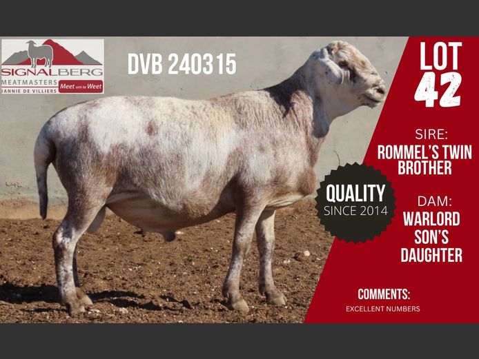 DVB 240315 | SIGNALBERG MEATMASTERS