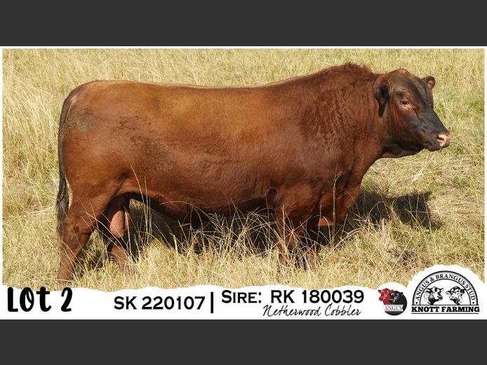 SK 220107