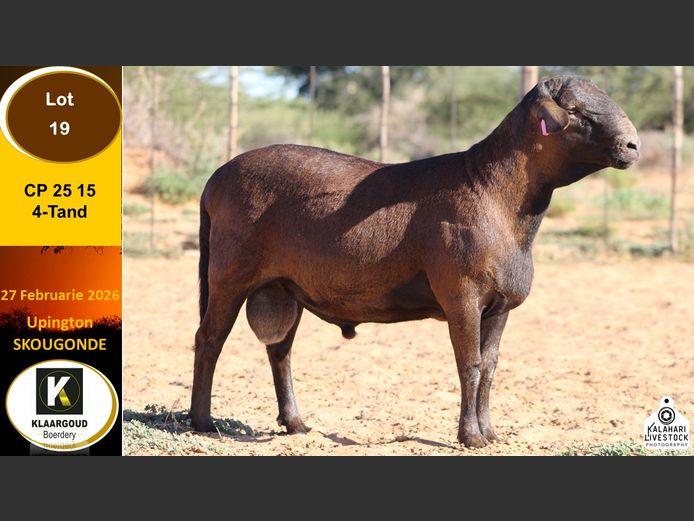 CP 25 15 | Chris Potgieter & Christia Scholtz - Klaargoud Boerdery