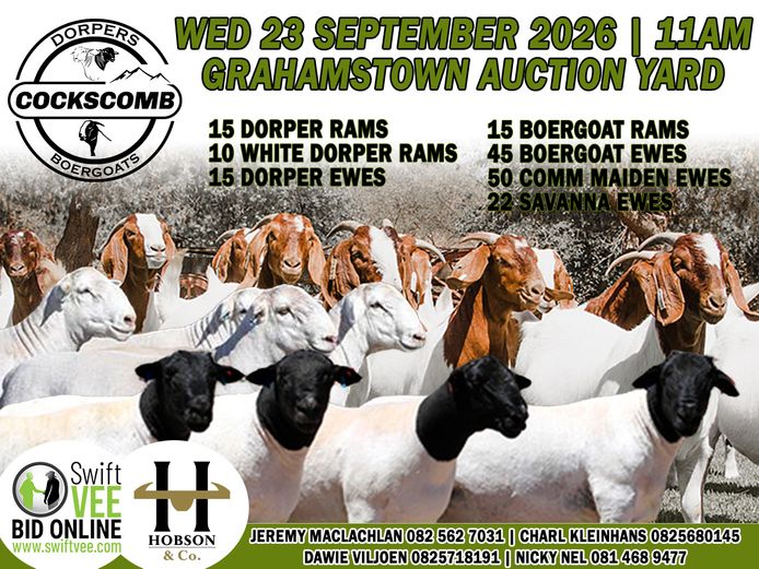 COCKSCOMB DORPER & BOERGOAT SALE