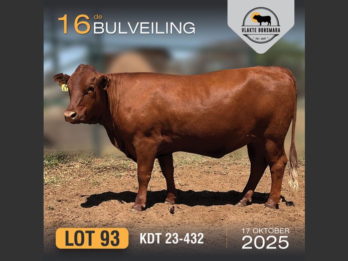 KDT 230432 | J.P.F. DU TOIT