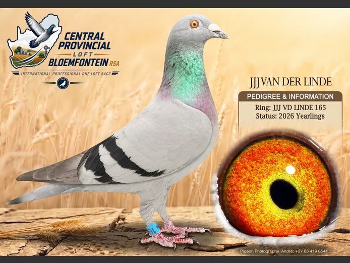 JJJVDLINDE 165 2026 | JJJ VAN DER LINDE