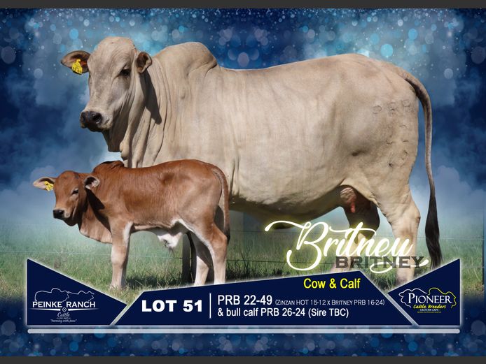 PRB 220049 | PEINKE RANCH