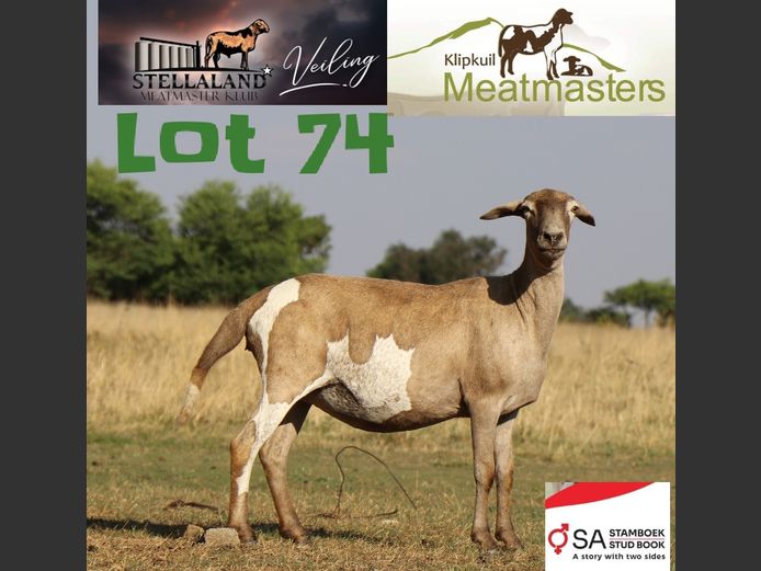 JAD2013 | Klipkuil Meatmasters