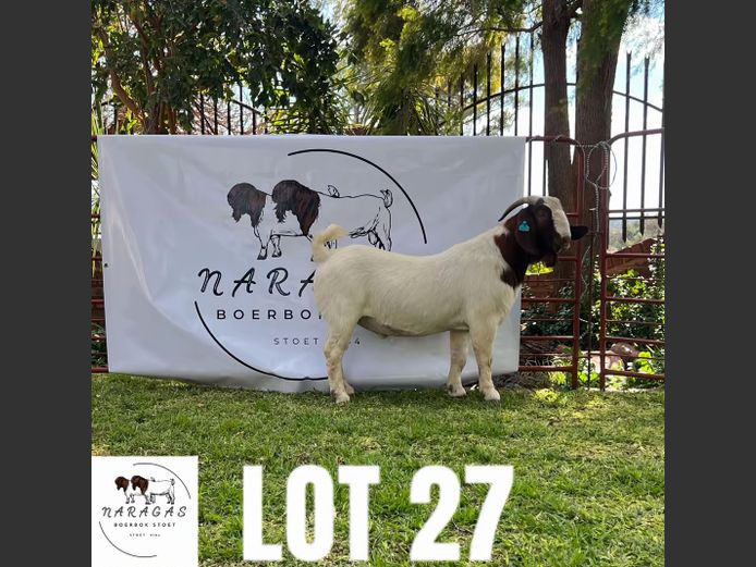 2184250018 | NARAGAS BOERBOKSTOET