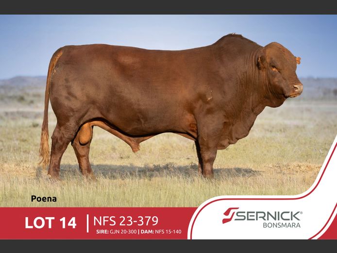 NFS 230379 Pp(c) | SERNICK BONSMARA STOET