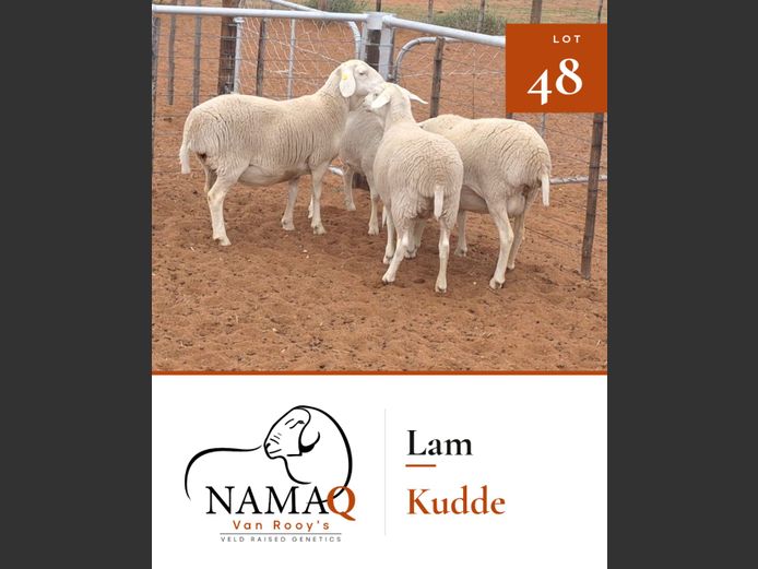 NAMAQ VAN ROOY OOIE