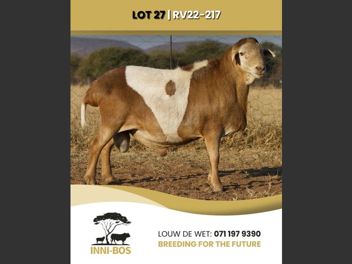 RV 22-217 | INI-BOS BOSVELDER