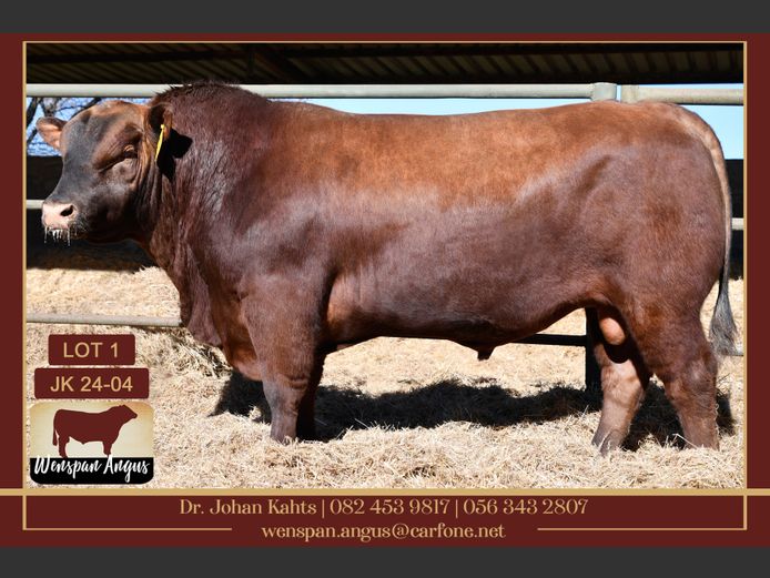 JK240004PcPc | J. KAHTS