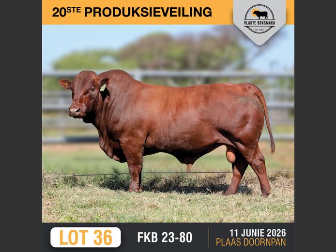 FKB230080 | FRITS KROON BOERDERY